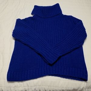 Banana Republic Royal Blue Turtleneck Sweater